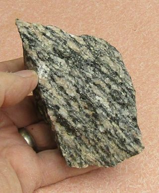 Mineral Specimen Of Gneiss From Converse Co. ,  Wyoming