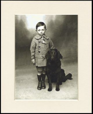 Flat Coated Retriever And Small Boy Charming Dog Photo Print Ready Mounted