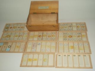 Boxed Set Of Antique Botanical Microscope Slides Millikin & Lawley Strand London