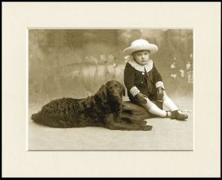 Flat Coated Retriever Lovely Little Dog And Boy Print Ready Mounted