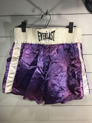 Vintage Everlast Satin Boxing Shorts / Trunks Mens Large Purple/white Stripe Usa