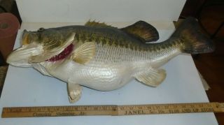 Large Mouth Bass Fish Full Body Skin Mount Taxidermy Cabin Vintage Decor Old