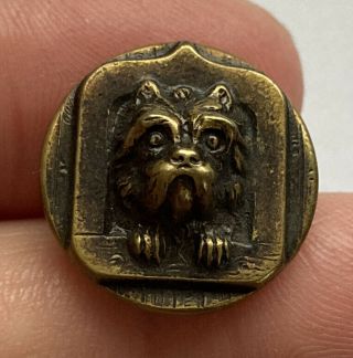 Antique Vintage Tinted Metal Picture Button Terrier Dog With Back Mark 3/4”
