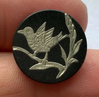 Antique Vintage Carved Horn Inlay Button With Bird 3/4”