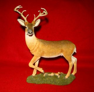 Country Artists White Tailed Deer Stag Figurine Natural World Robert Sefton