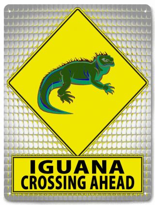 Iguana Lizard Street Sign Funny Metal Sign Pet Reptile Kids Room Wall Decor 638