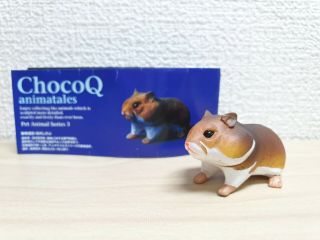 Kaiyodo Takara Chocoq Pet Golden Hamster Animal Figure Choco Q Animatales