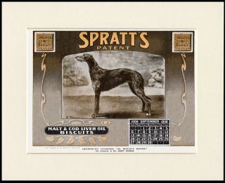 Deerhound Named Dog On Advert Calendar Print Mounted Ready To Frame