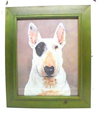 Authentic Vintage English Bull Terrier Glass Fronted Key Box Holder.  Rare