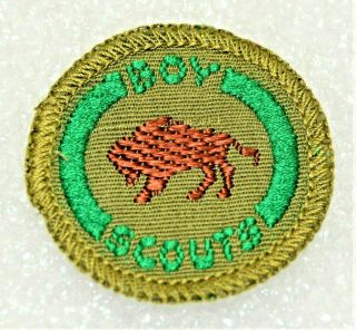 Buffalo Scout wildlife Conservationist proficiency Award Badge Black Back Troop