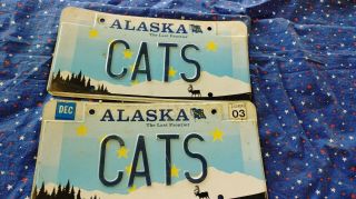 Alaska Personalized Vanity License Plate “cats "