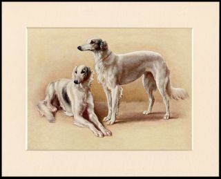 Saluki Two Dogs Charming Little Dog Art Print Mounted Ready To Frame