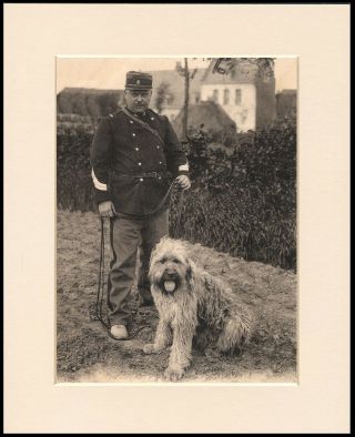 Bouvier Des Flandres Dog And Soldier Great Dog Print Mounted Ready To Frame