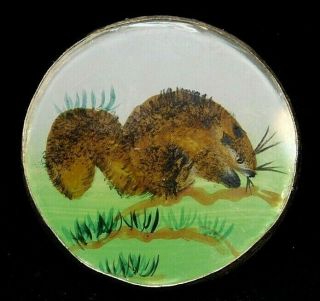 Antique Vtg Button Large Reverse Painted Beaver On Thick Glass In Metal K9