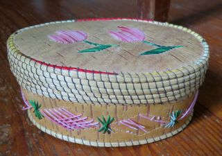 Native American Oval Birch Bark Basket / Box With Quills & Sweet Grass Ne Us
