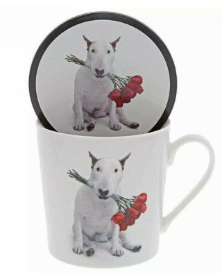 Jimmy The English Bull Terrier Mug Coaster Set Boxed Gift Dog Cup Mens Gift Rose