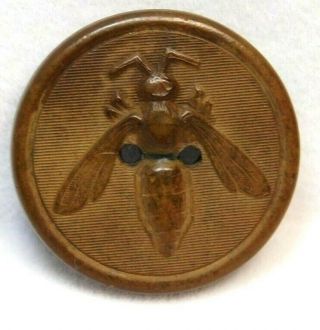 Antique Vtg Button Goodyear Rubber Wasp Insect I9