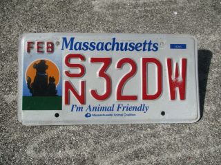 Massachusetts Animal Friendly License Plate 32dw