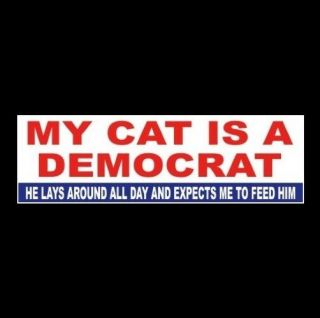 Funny " My Cat Is A Democrat " Anti Liberal Welfare Bumper Sticker Decal Obama Gop