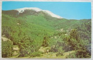 Philmont Boy Scout Ranch Cimarron Mexico Vintage 1975 Postcard