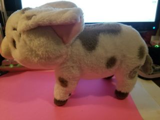 Moana Pua Pig Disney Store Exclusive Authentic 11 " Plush Animal Stuffed Toy