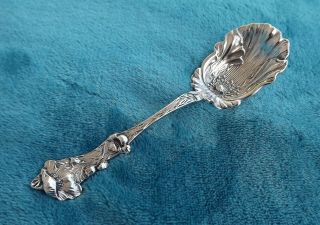 Poppy By Paye And Baker 5 1/2 " Long Sterling Sugar Spoon No Mono