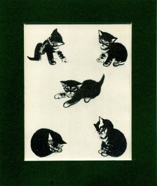 Cat Kittens Print By Clare Turlay Newberry Vintage 1941