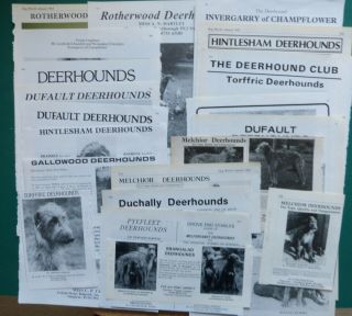 Deerhound Kennel Adverts Breed Clippings 1953 - 84
