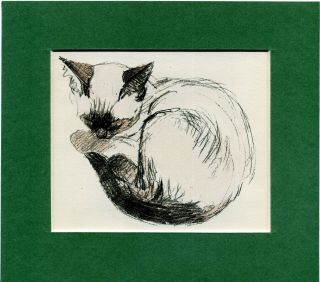 Siamese Cat Print By Clare Turlay Newberry Vintage 1948