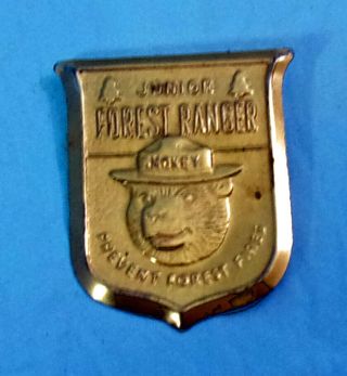 Vtg.  Smokey Bear Junior Forest Ranger Help Prevent Forest Fires Pin Badge
