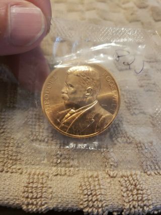 President Teddy Theodore Roosevelt Inauguration Bronze Medal Coin: Us