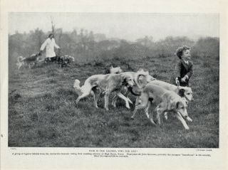 Saluki Dogs And Small Boy Charming Old Dog Print From 1935