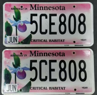 Minnesota License Plate Pair Critical Habitat Lady Slipper Reinvest 5ce808 Pick