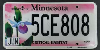 Minnesota License Plate Pair Critical Habitat Lady Slipper Reinvest 5CE808 PICK 2
