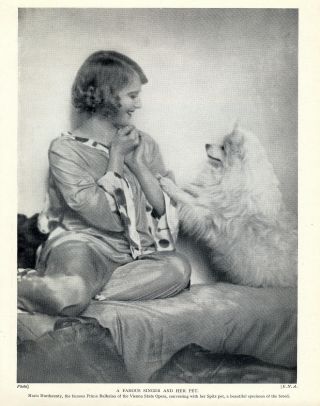 German Spitz Pomeranian Ballerina And Little White Dog Old Dog Print From 1934
