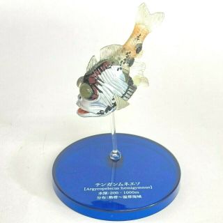 Deep Sea Creatures Mini Figure Half - naked Hatchetfish Takara Tomy Arts Japan 2