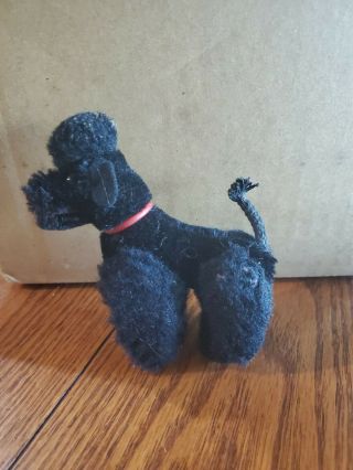 Vintage Black Poodle Dog.  Steif?