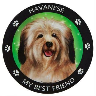 Havanese Car Magnetic My Best Friend Circle Magnetic Pedigree Dog Usa
