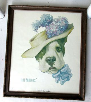Under The Lilacs Vintage 1922 Framed Will Rannells Bull Dog In Hat Art Print