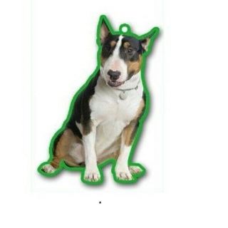 English Bull Terrier Air Fresheners X 2 For Your Home 1 White & 1 Tri Colour Fre