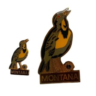 Mt 1985rp Montana State Bird Meadowlark Lions Club Pins.  D Ⓡ Chen Taiwan