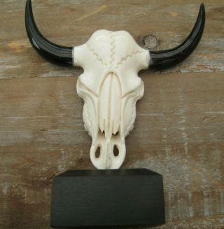 Quirky Miniature Taxidermy Buffalo Skull On Wooden Stand