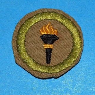 Public Health Type D Merit Badge - Fine Twill - Boy Scouts - 6241