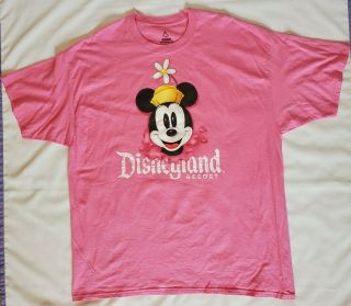 Disneyland Resort Walt Disney World By Hanes Pink T - Shirt Sz 2xl Minnie Mouse