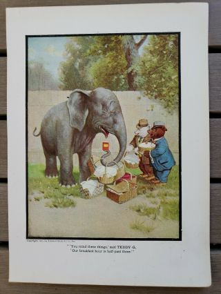 1907 Print Roosevelt Bears Teddy Bears 7x9 At The Zoo Elephant