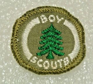 Green Tree Boy Scout Forester Proficiency Award Badge White Back Troop Small