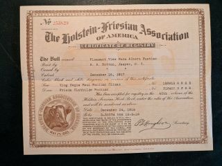 1917 Holstein - Friesian Association Of America Certificate Of Registry - (rare)