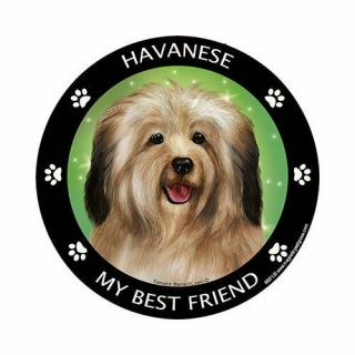 My Havanese Is My Best Friend Dog Car Magnet
