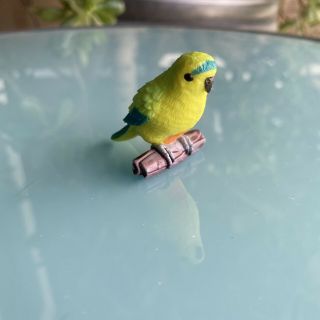 Yowie Orange - Bellied Parrot Collectible Toy Animal Figurine Rescue Series Bird