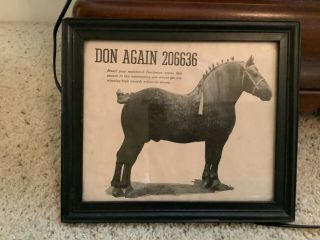Percheron Horse “don Again” Framed Picture